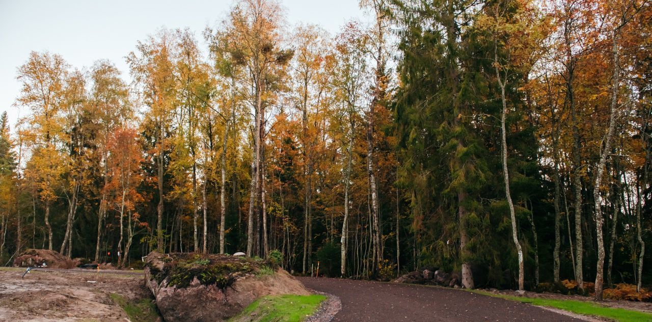 земля р-н Выборгский Приморское городское поселение, Сосновый пляж кп фото 50