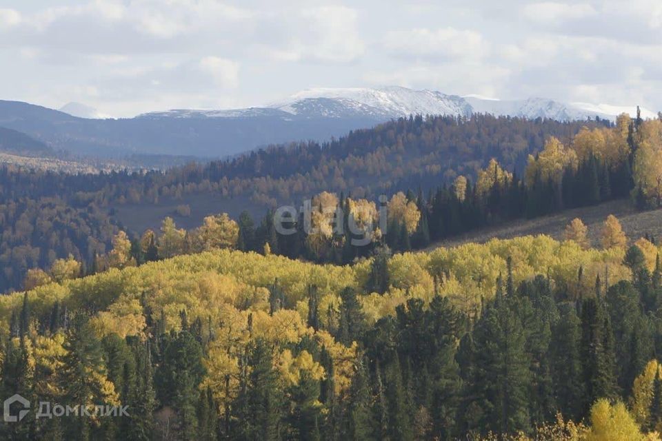 земля р-н Чемальский село Узнезя фото 3