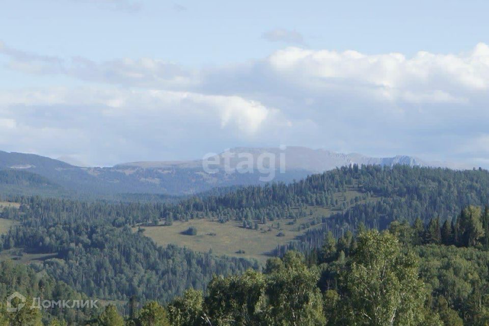 земля р-н Чемальский село Узнезя фото 2