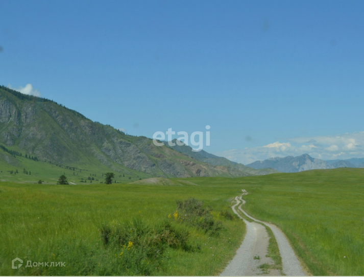 земля р-н Онгудайский село Ело фото 4