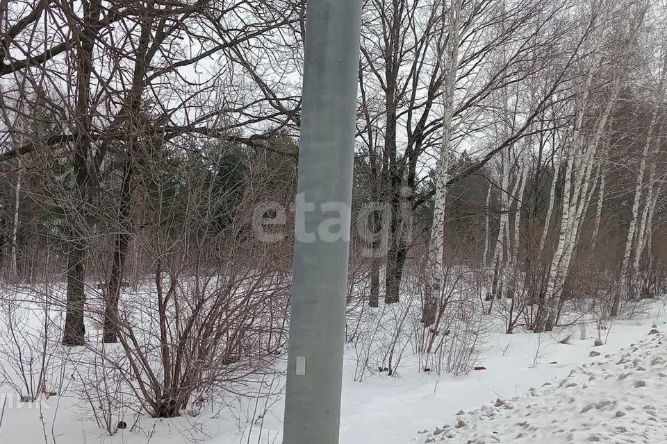 земля р-н Новоусманский с Бабяково ул Совхозная фото 2