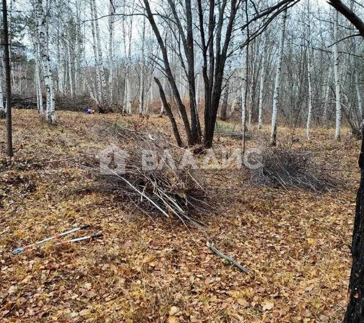 земля г Тобольск микрорайон Усадьба, городской округ Тобольск фото 3