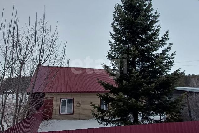 городской округ Бийск фото