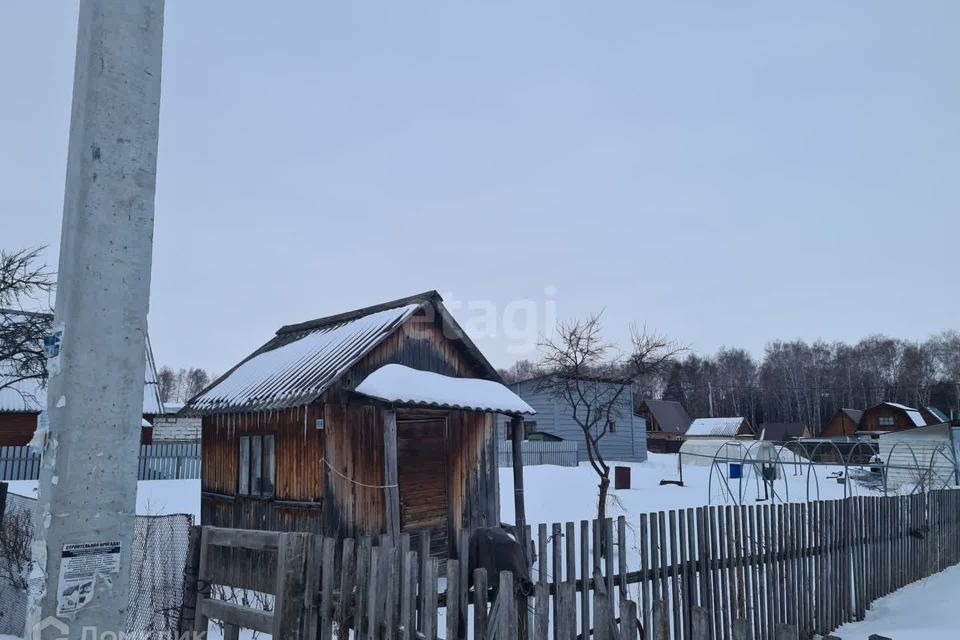 земля городской округ Бердск, садовое товарищество Ветеран, 3-я улица фото 3