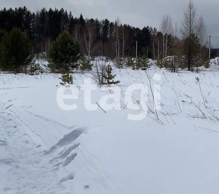 земля городской округ Дивногорск, посёлок Манский фото 4