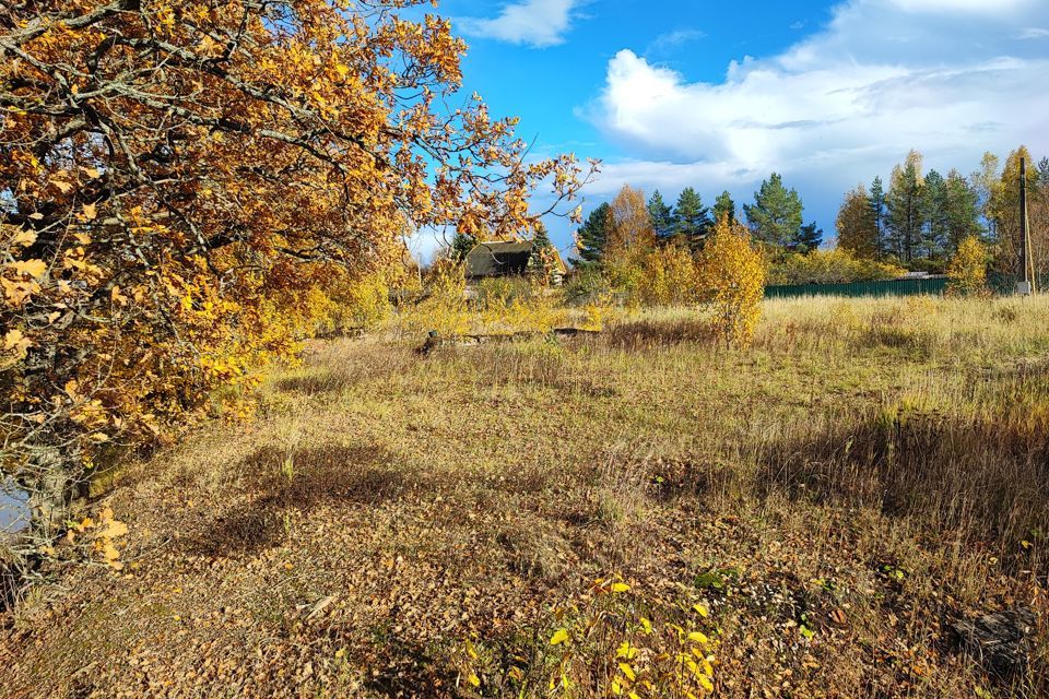 земля р-н Новгородский деревня Чайка фото 3