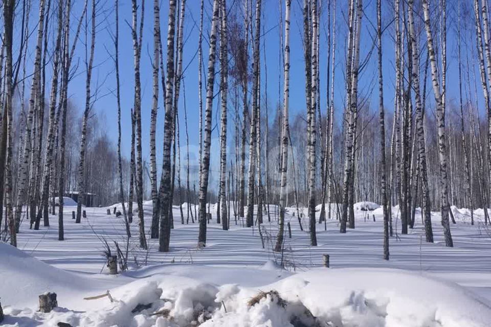 земля муниципальное образование Тула, село Частое фото 4