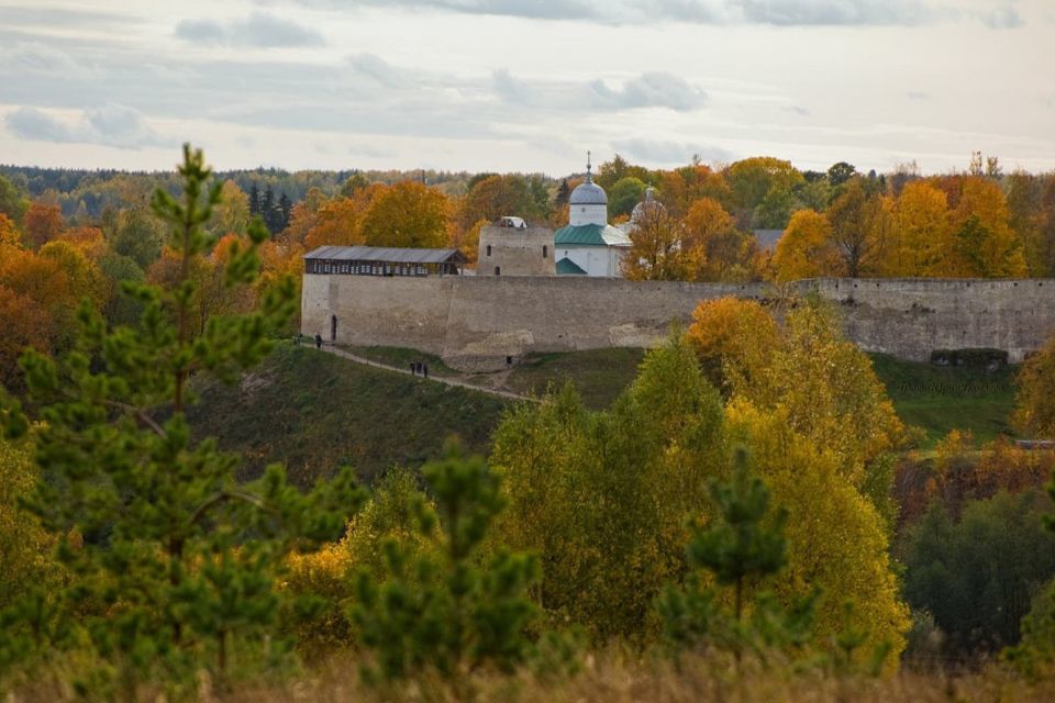 дом р-н Печорский деревня Вастцы фото 5