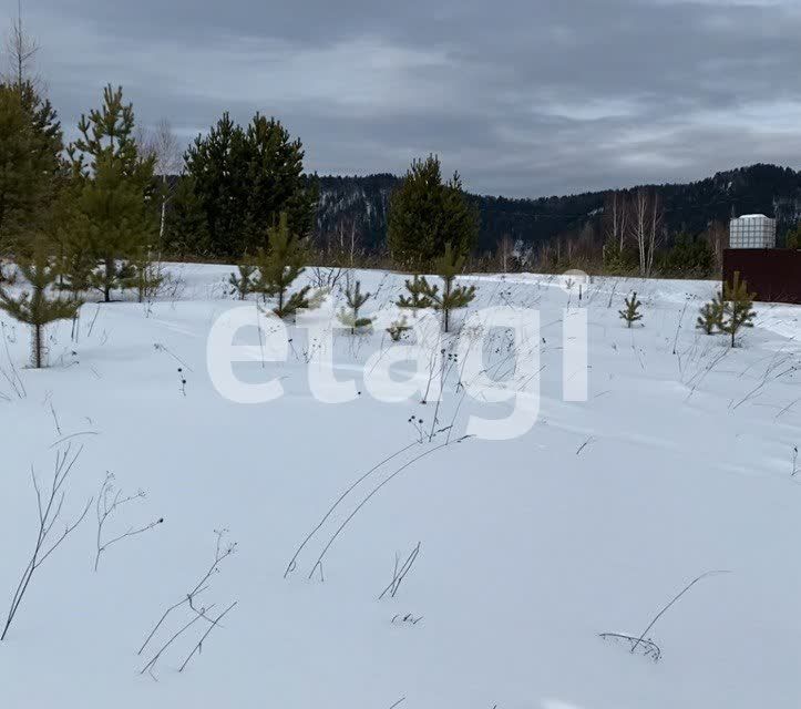 земля городской округ Дивногорск, посёлок Манский фото 6