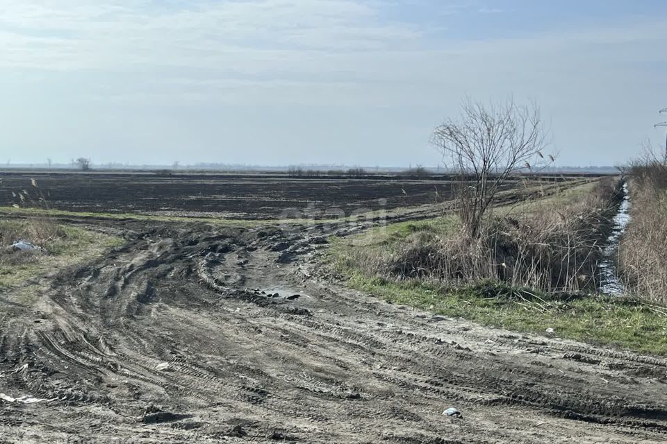 земля р-н Новокубанский посёлок Прикубанский фото 6