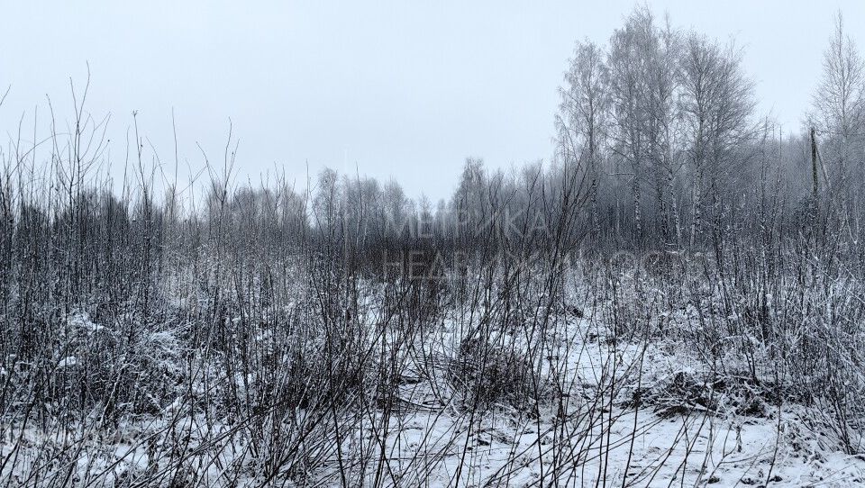 земля г Тюмень городской округ Тюмень, Ленинский округ фото 8