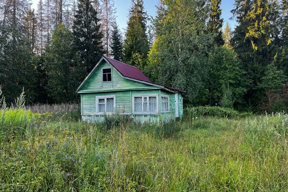 земля р-н Валдайский садоводческое товарищество Нерцы фото 1