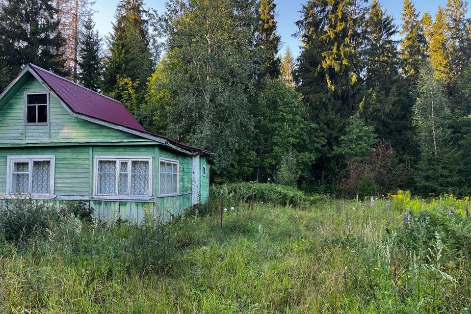 земля р-н Валдайский садоводческое товарищество Нерцы фото 2