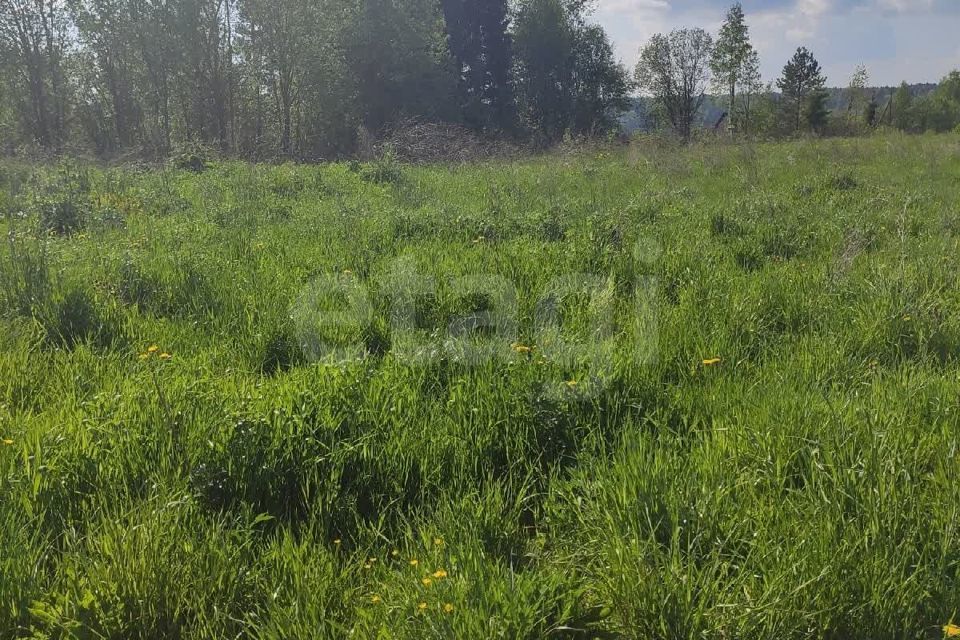 земля г Вологда городской округ Вологда, садоводческое товарищество Ясное фото 5