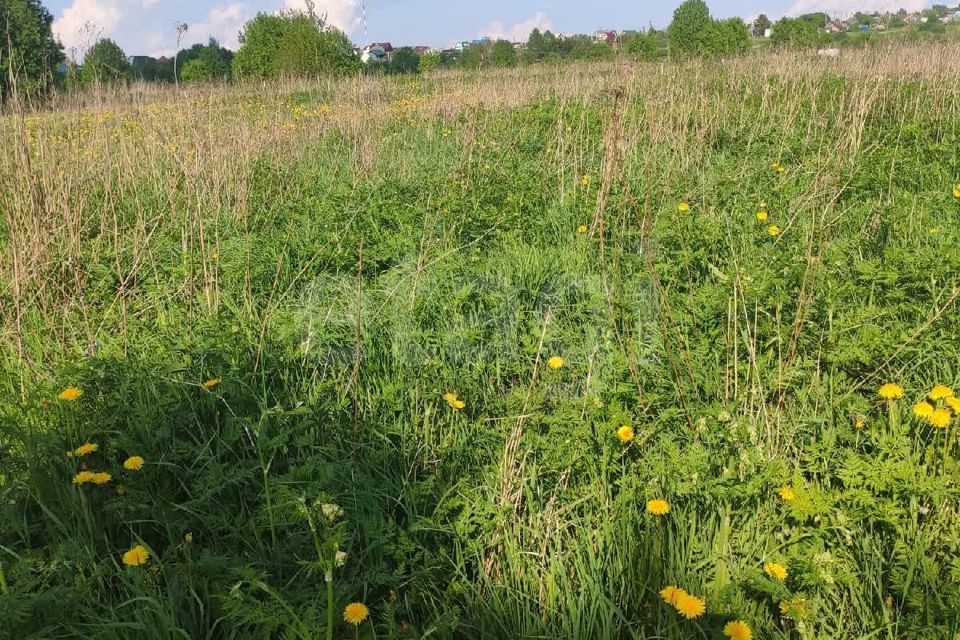 земля г Вологда городской округ Вологда, садоводческое товарищество Ясное фото 6