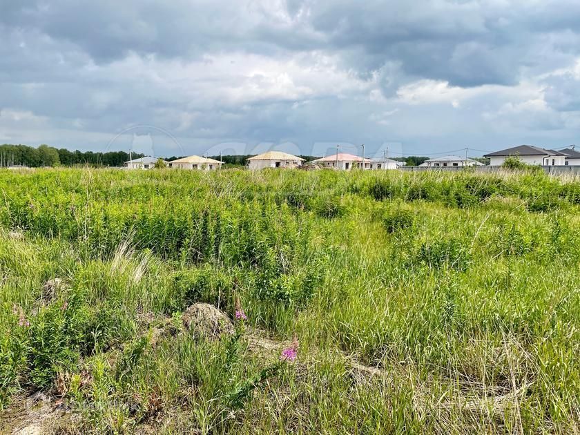 земля р-н Тюменский снт Садовое городской округ Тюмень, общество Поляна, Уральская улица, 42 фото 1