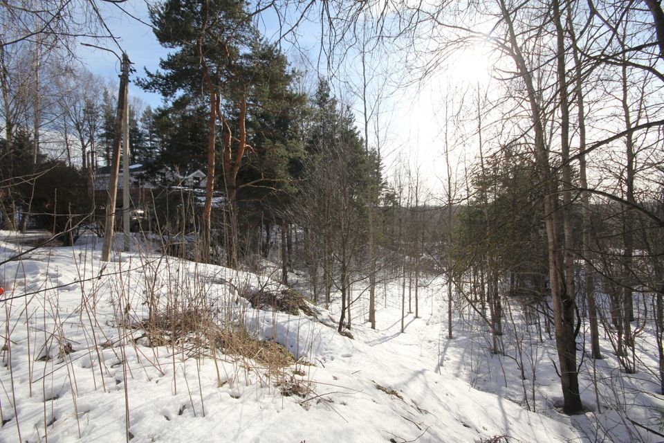 земля р-н Всеволожский д Энколово ул Центральная 20 фото 6