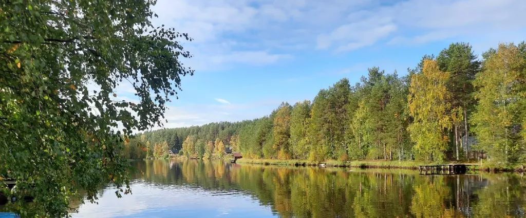 квартира р-н Пряжинский п Сяпся ул Речная 14 Эссойльское с/пос фото 15