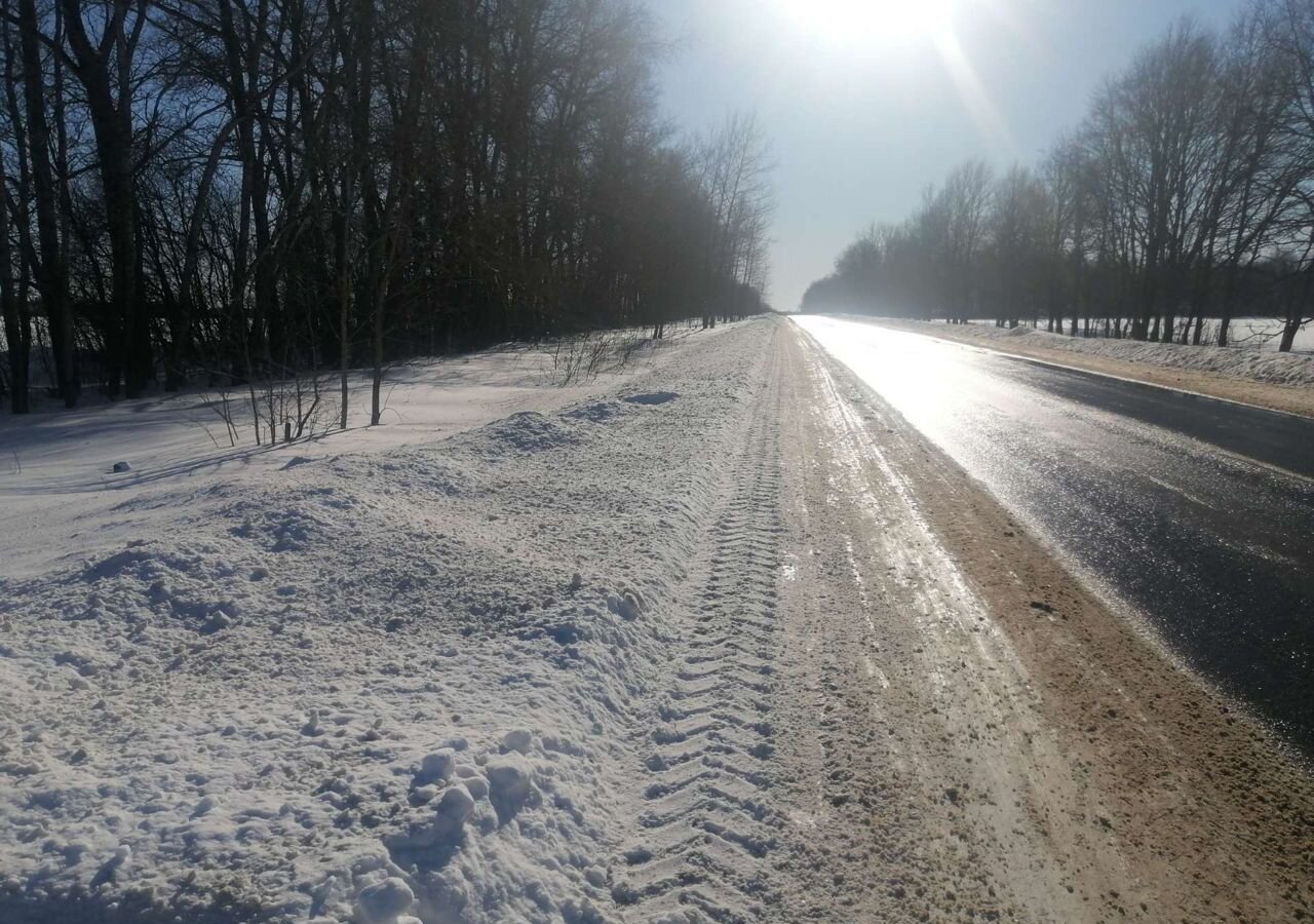 земля р-н Ломоносовский Копорское сельское поселение, Сосновый Бор фото 4