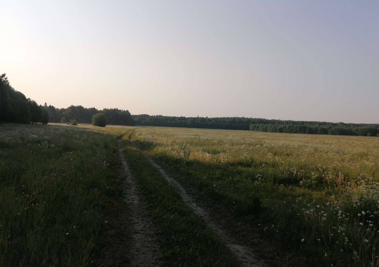 земля р-н Ломоносовский Копорское сельское поселение, Сосновый Бор фото 2