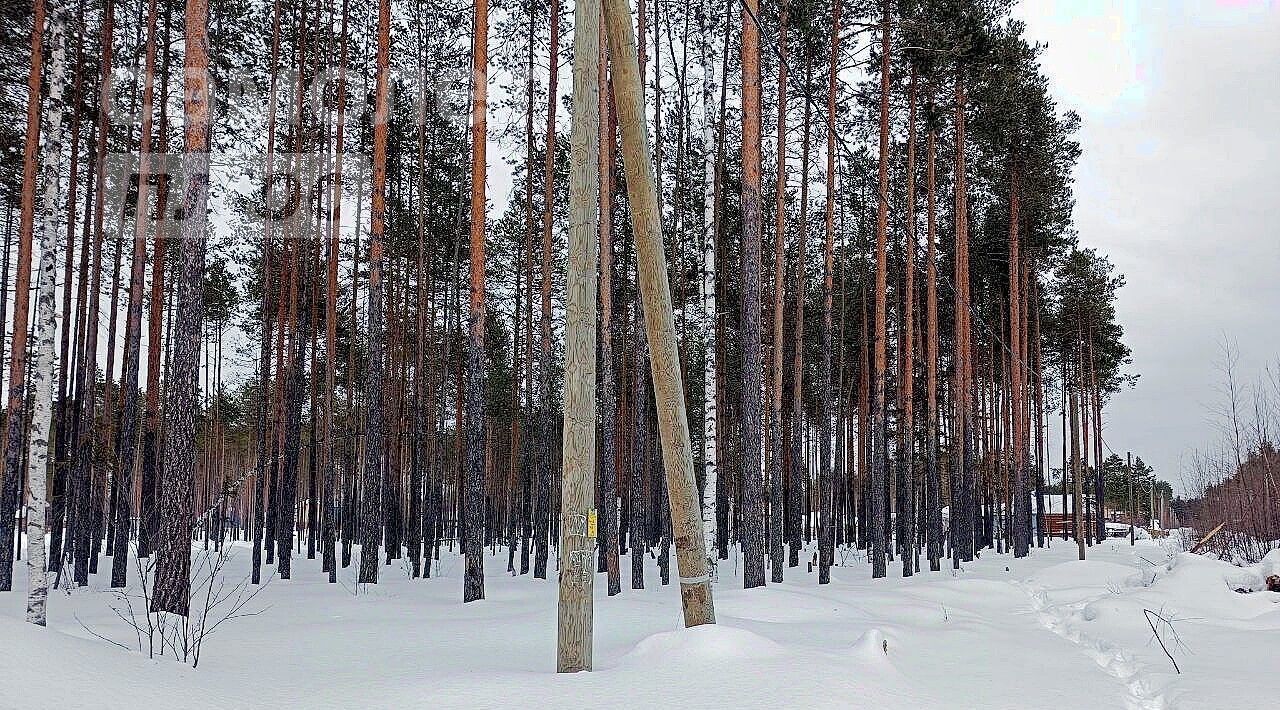 земля г Сыктывкар пгт Краснозатонский ул Линейная 9 фото 1