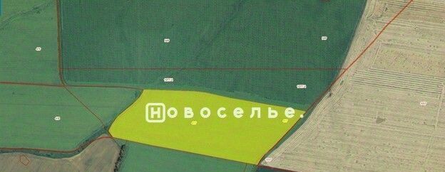 земля Сапожковское городское поселение фото