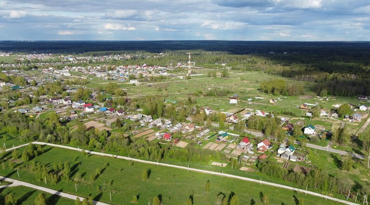 земля р-н Ярославский д Кормилицино Карабихское с/пос, Лес кп фото 2