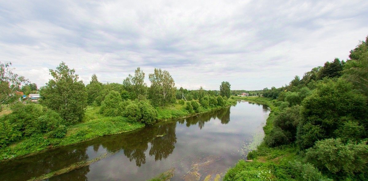 земля р-н Ярославский д Кормилицино Карабихское с/пос, Лес кп фото 20