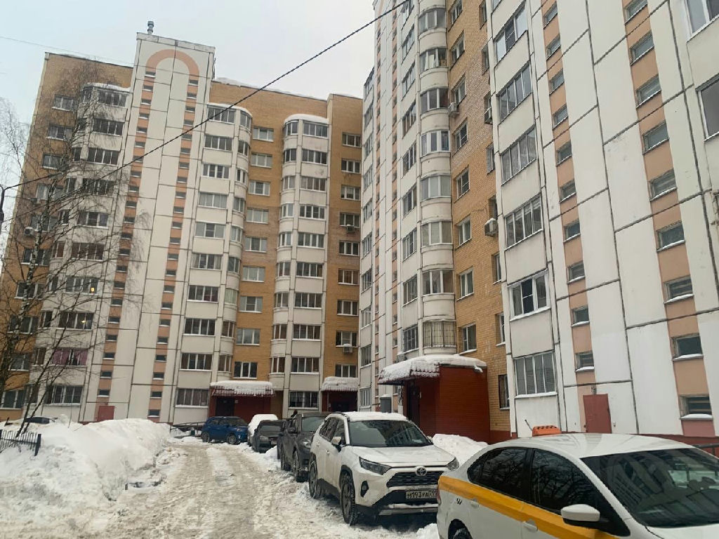 квартира г Балашиха ул Карбышева 3 Новокосино фото 1