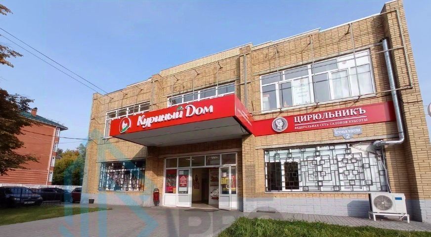 торговое помещение городской округ Богородский г Ногинск пер Аптечный 2 Новокосино фото 1