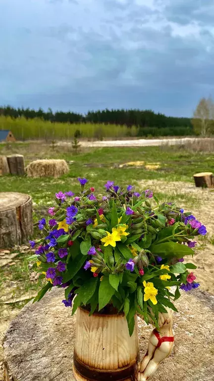 дом р-н Задонский с Уткино ул Заводская 1в Задонск фото 11