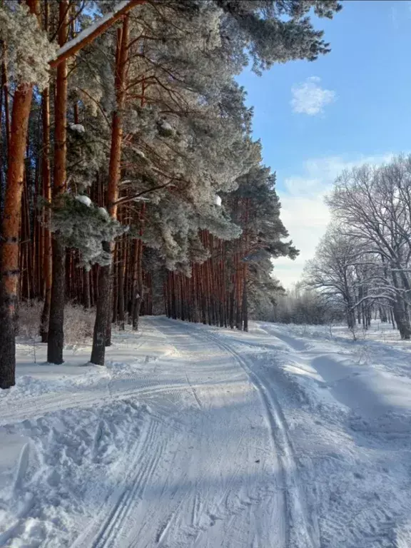 квартира г Нижний Новгород ул Бориса Видяева 10 Парк Культуры фото 35