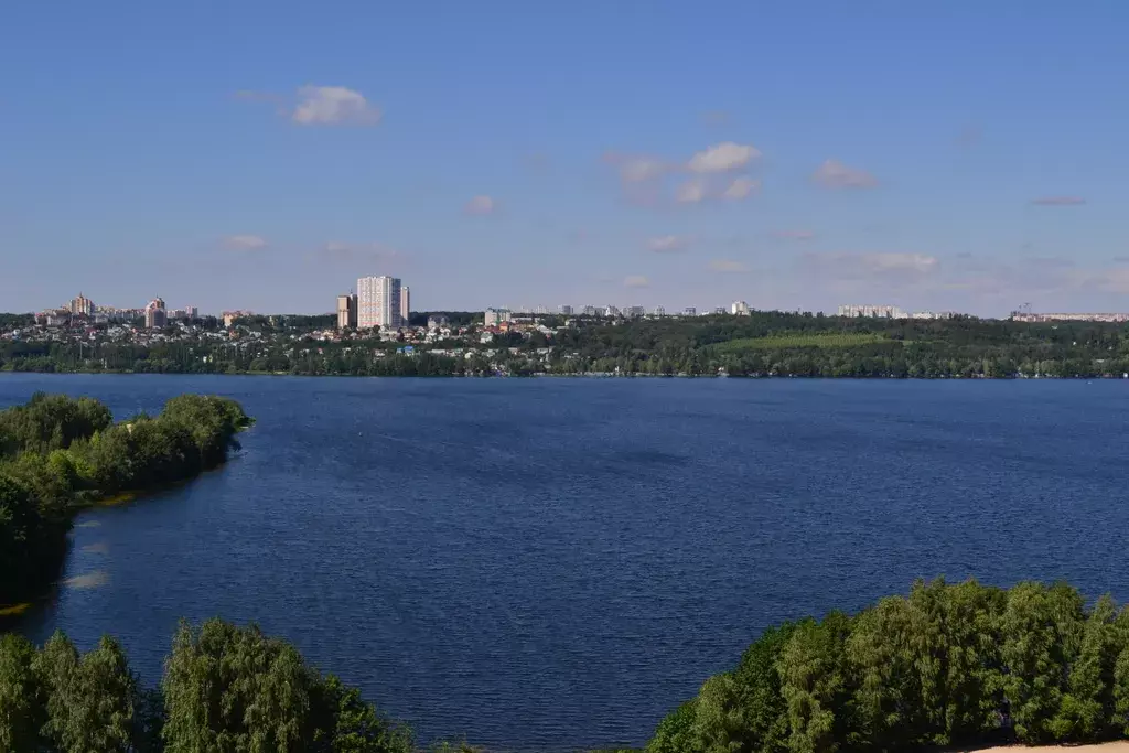 квартира г Воронеж ул Маршала Одинцова 25б/12 фото 8