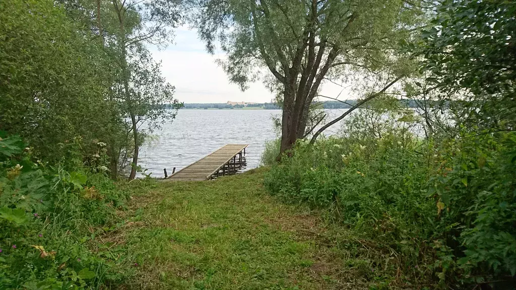 дом городской округ Рузский д Демидково 14А, Десна фото 14