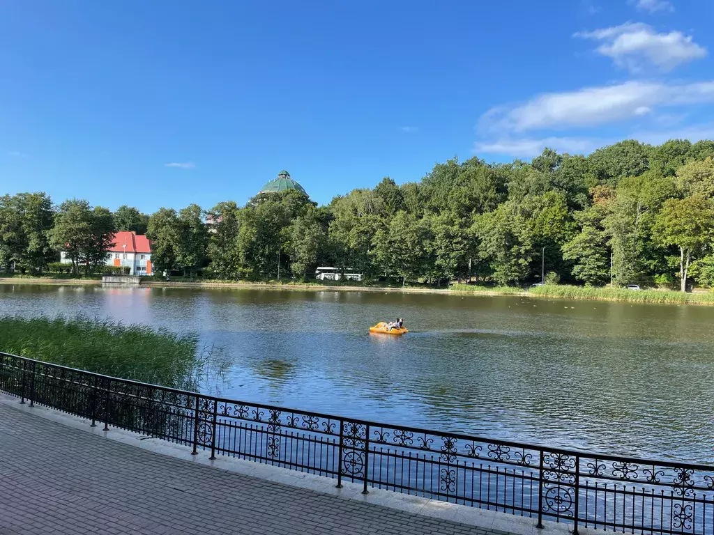 квартира р-н Светлогорский г Светлогорск ул Карла Маркса 3 фото 20