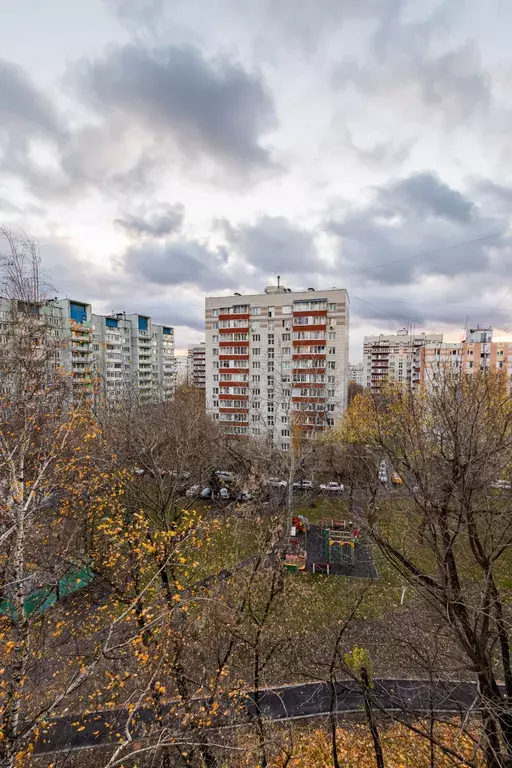 квартира г Москва метро Печатники ул Кухмистерова 16 Московская область фото 25