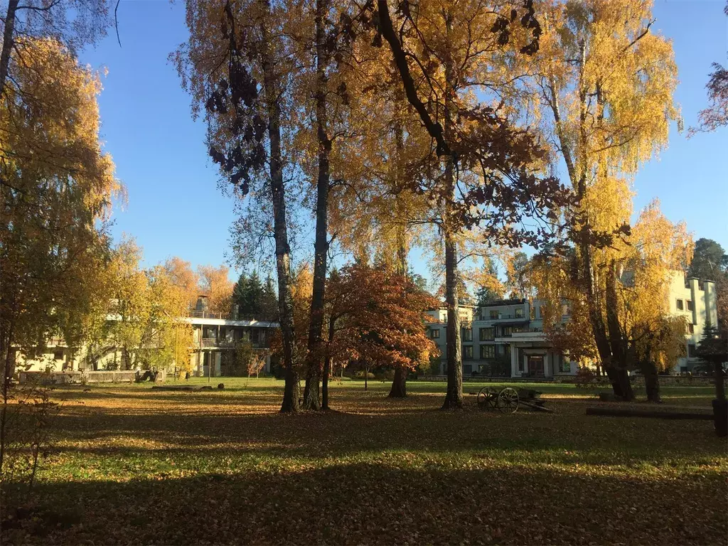 комната городской округ Одинцовский г Звенигород - улица, б/н фото 9