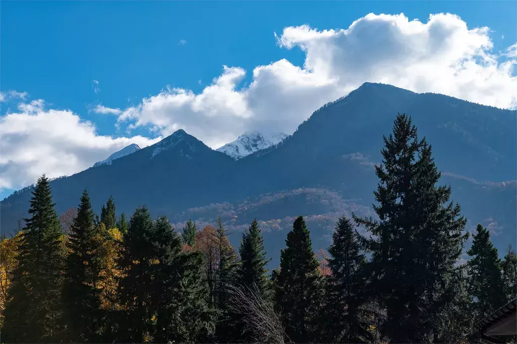 комната Волоколамская улица, 2, Красная Поляна фото 8