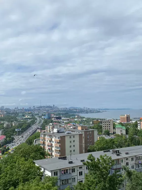 квартира г Владивосток пр-кт 100-летия Владивостока 139 фото 8