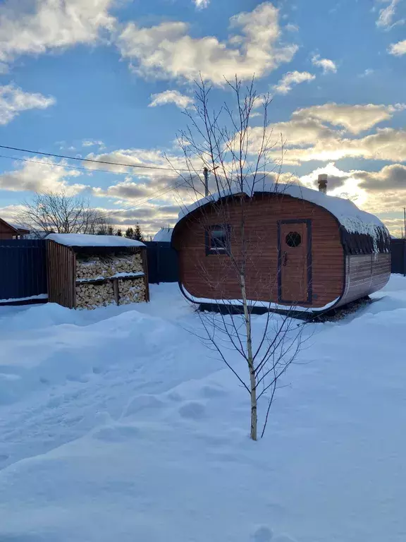 дом городской округ Истра д Ремянники ул Луговая 12 Никольское фото 42