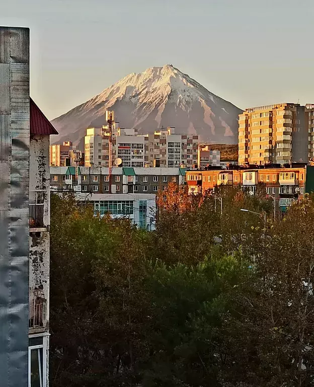 квартира г Петропавловск-Камчатский ул Ларина 27/1 фото 5