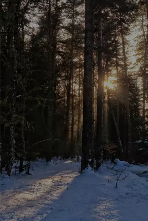 дом р-н Зеленчукский с Архыз Софийская Поляна территория, 1 фото 8