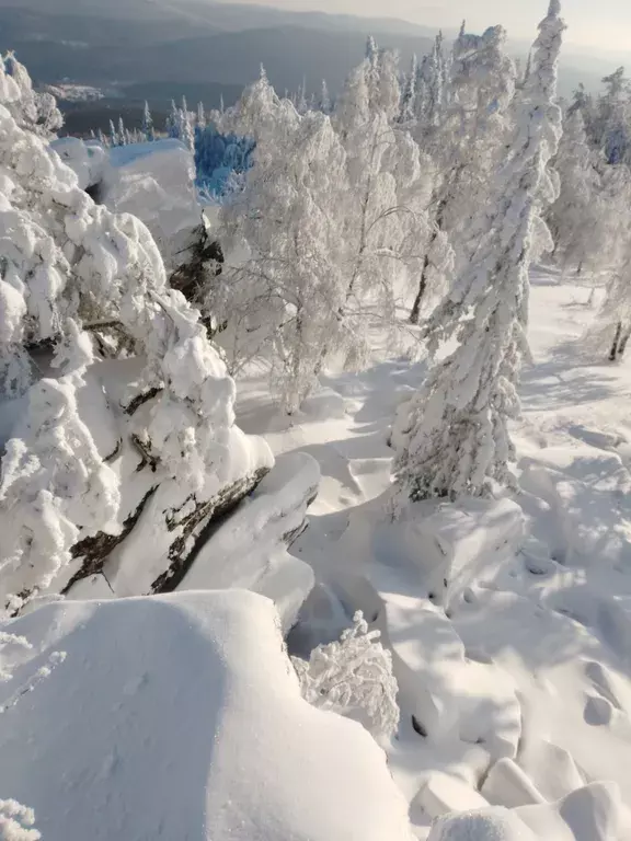 дом р-н Белорецкий д Шушпа ул Центральная 3 фото 13