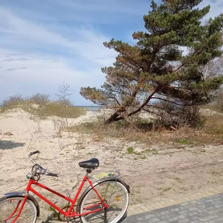 дом р-н Зеленоградский г Зеленоградск п Прибой Сиреневая улица, 326А фото 20