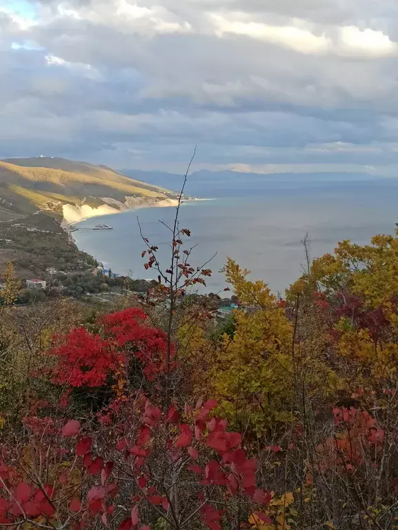 комната г Новороссийск с Абрау-Дюрсо Торпедный переулок, 12, к Нет фото 22