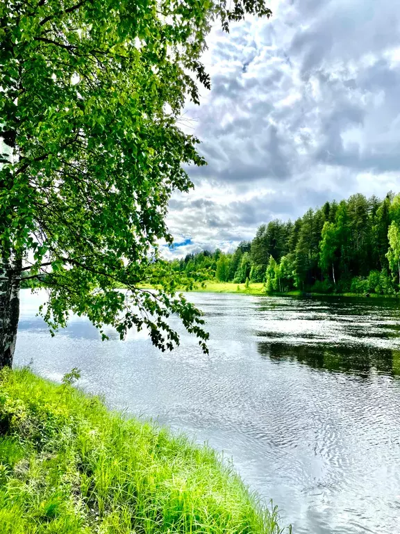 дом р-н Пряжинский п Матросы пер Шуйский 4 Петрозаводск фото 12