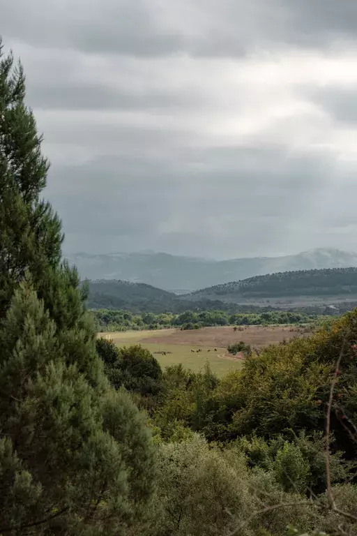 дом р-н Симферопольский с Передовое - улица, б/н фото 6