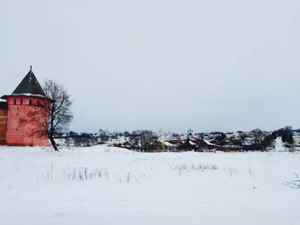 дом р-н Суздальский г Суздаль ул Спасская 30 фото 19