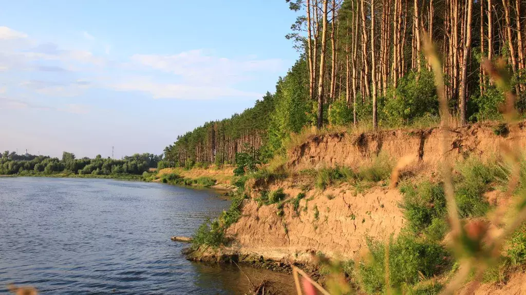 дом г Луховицы Tsvetkovo Village территория, 1-10 фото 9