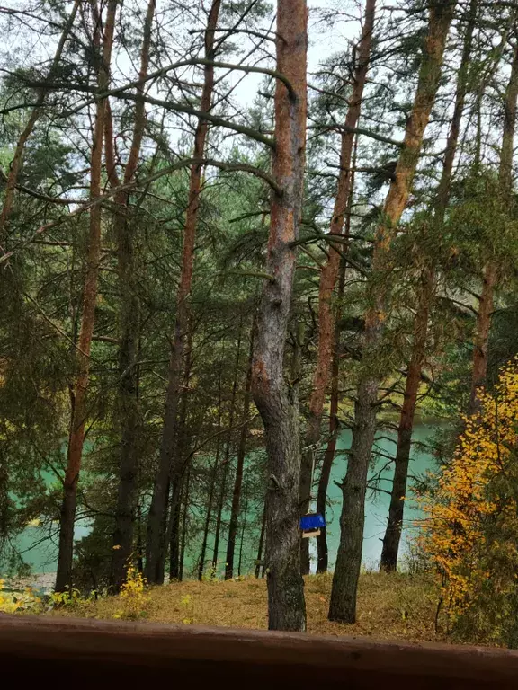 дом р-н Алексинский с Бунырево 18, Алексин фото 23